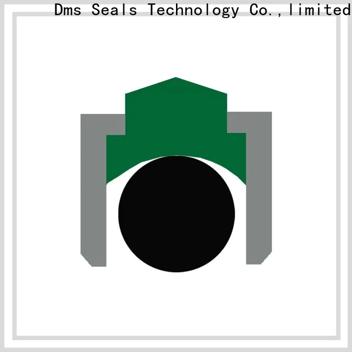 DMS Seals dripless shaft seal replacement factory for construction machinery