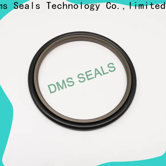 DMS Seals ptfe brake seals suppliers wholesale