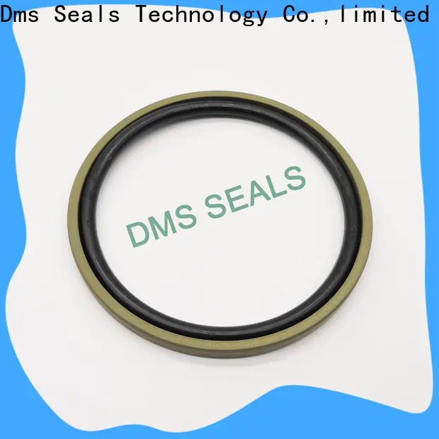 DMS Seals ptfe mechanical pump seals suppliers supplier for larger piston clearance