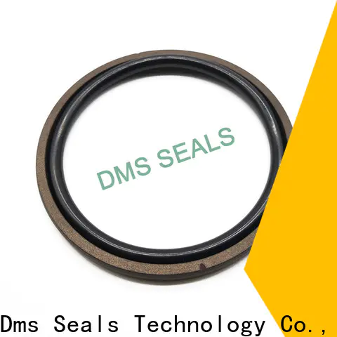 DMS Seals piston oil seal glyd ring for sale