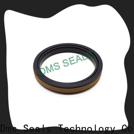 DMS Seals Custom hyd cylinder seal kit manufacturers for light and medium hydraulic systems