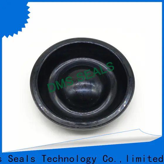 DMS Seals viton rubber edge sealing strip manufacturers for high pressure