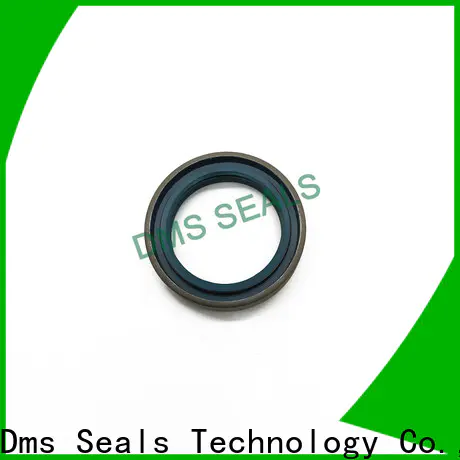 DMS Seals double lip tcv oil seal with integrated spring for low and high viscosity fluids sealing