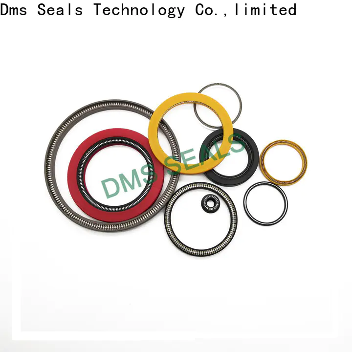 DMS Seals delta mechanical seals for business for reciprocating piston rod or piston single acting seal