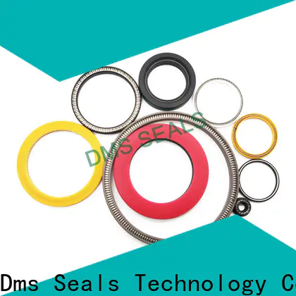 DMS Seals crane mechanical seals manufacturers for reciprocating piston rod or piston single acting seal