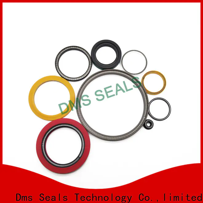DMS Seals mechanical seal arrangement for reciprocating piston rod or piston single acting seal