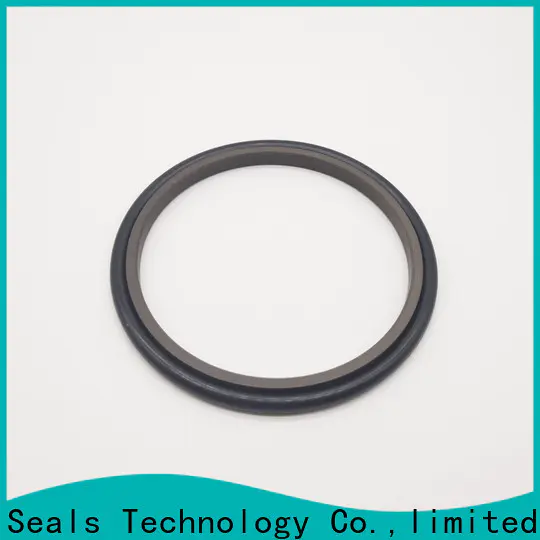 DMS Seals rubber seal ring manufacturers o ring for piston and hydraulic cylinder