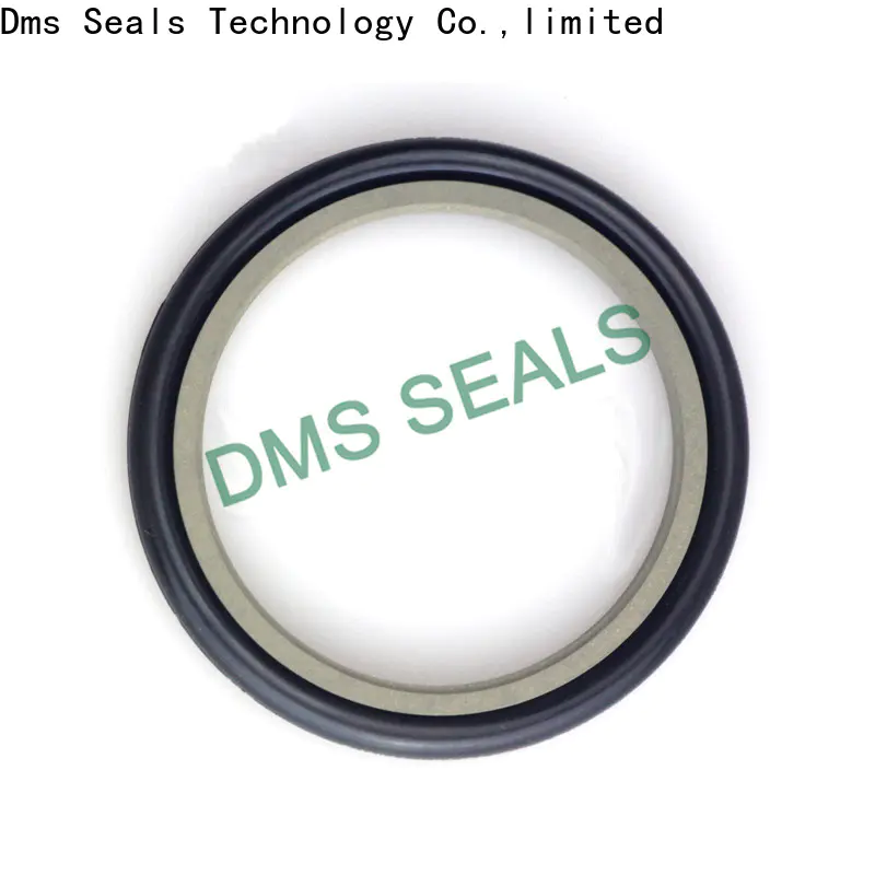 ptfe lead seals suppliers supplier for larger piston clearance