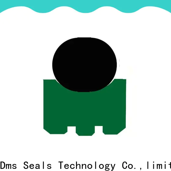 DMS Seals lip seal viton manufacturers for automotive equipment