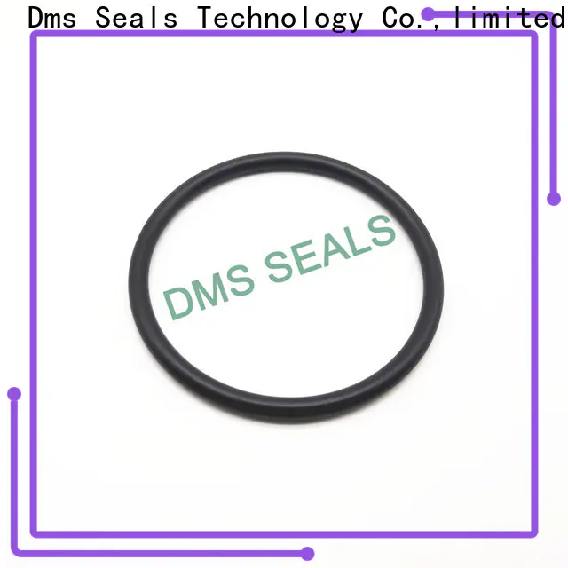 DMS Seals nitrile metric square o rings company for sale