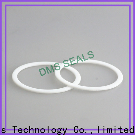 DMS Seals window gasket material ring for preventing the seal from being squeezed