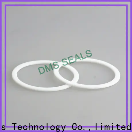 DMS Seals window gasket material ring for preventing the seal from being squeezed