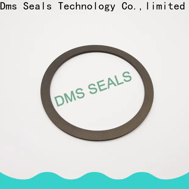 DMS Seals asbestos rubber gasket ring for preventing the seal from being squeezed