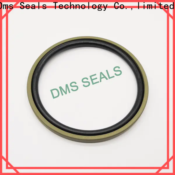 DMS Seals hot sale glyd ring wholesale for piston and hydraulic cylinder