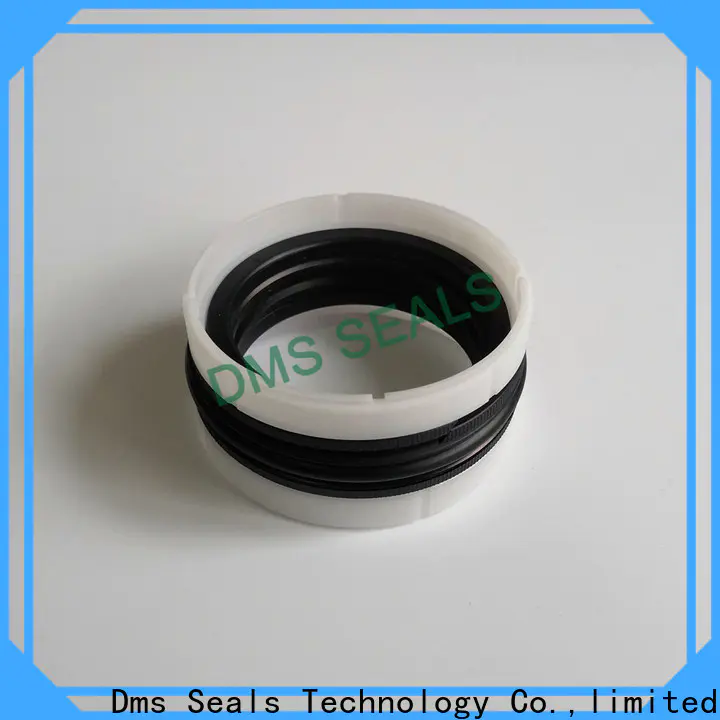custom mechanical seals pune supplier for larger piston clearance