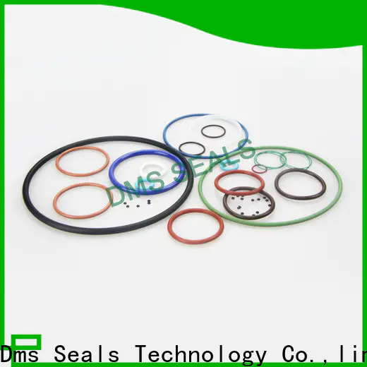 Latest lip seal o ring Supply in highly aggressive chemical processing