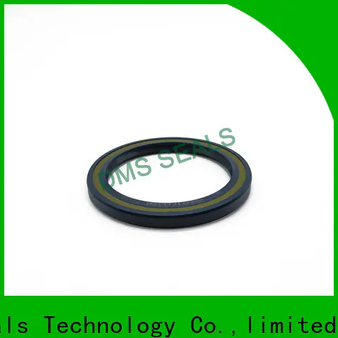 DMS Seals hot sale lip type oil seal with integrated spring for low and high viscosity fluids sealing