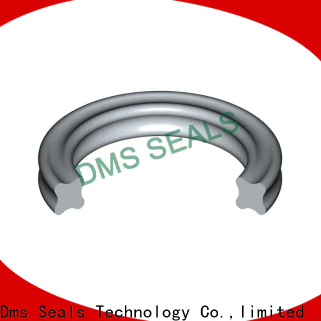 DMS Seals Top buy o rings locally manufacturers in highly aggressive chemical processing