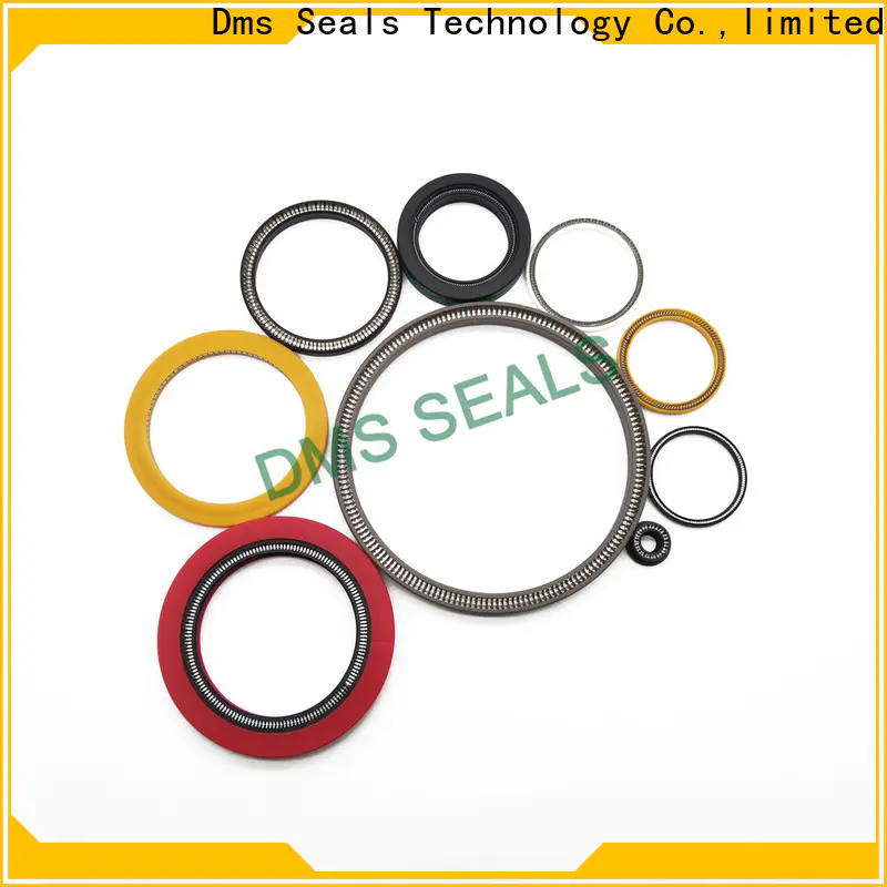 DMS Seals High-quality spring loaded oil seal for aviation