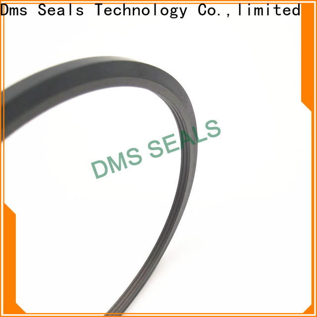 hot sale cap seal manufacturer o ring for piston and hydraulic cylinder DMS Seals