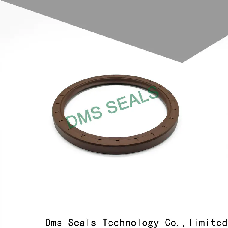 DMS Seals high quality automobile oil seal with low radial forces for housing