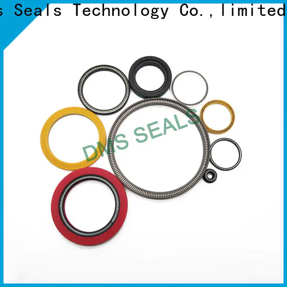 DMS Seals Professional spring energized ptfe seal for sale for cementing