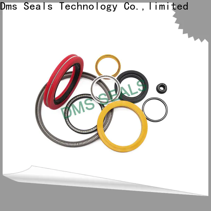 DMS Seals Quality spring energized seals company for valves