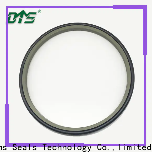 DMS Seals Custom wiper ring company for injection molding machine