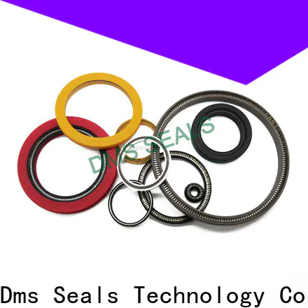 DMS Seals Quality parker spring energized seals supply for cementing