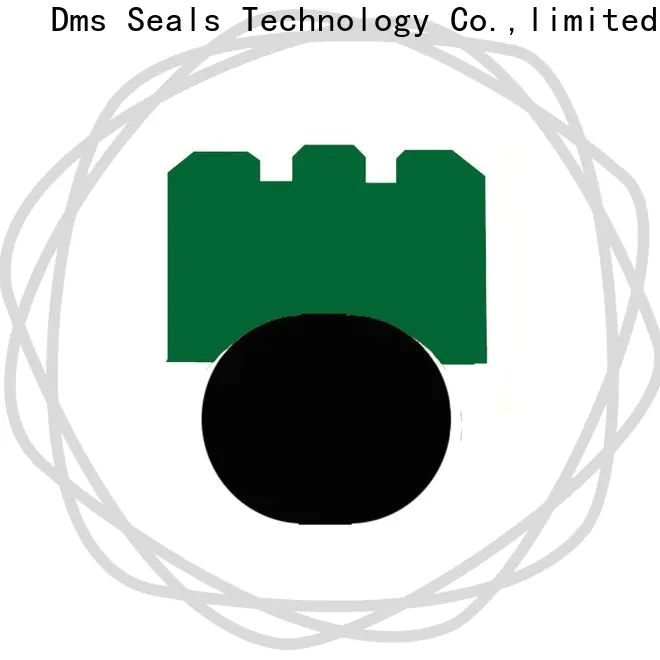 DMS Seals Latest double lip oil seal design manufacturers for construction machinery