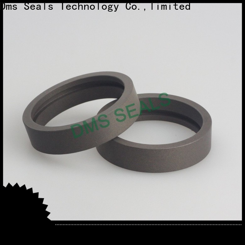 DMS Seals steel ball bearing rollers guide strip as the guide sleeve