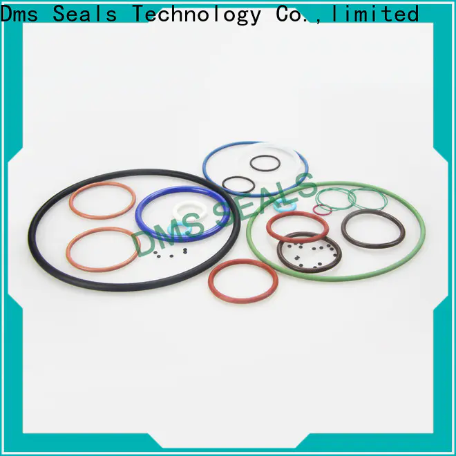 DMS Seals pu o ring coating Supply for static sealing