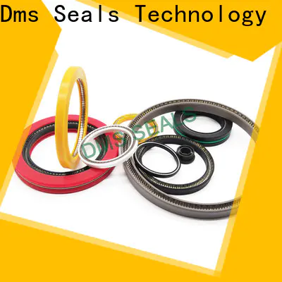 DMS Seals mechanical seal problems manufacturers for reciprocating piston rod or piston single acting seal
