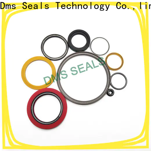 DMS Seals Customized spring energized teflon seals wholesale for cementing
