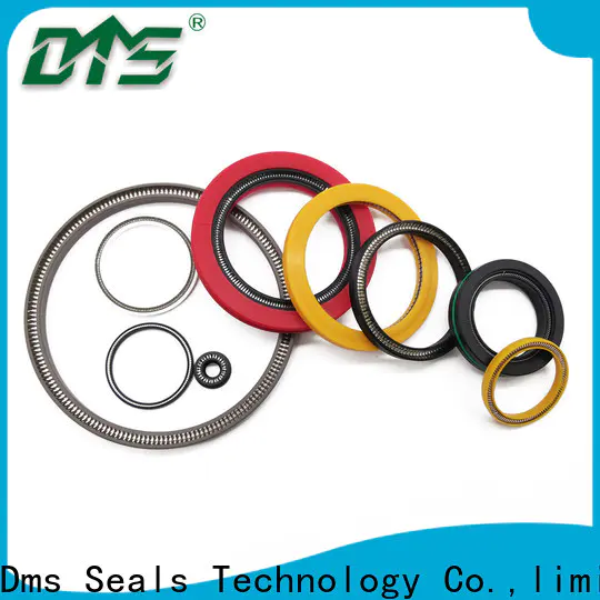 DMS Seals spring energized teflon seals company for valves
