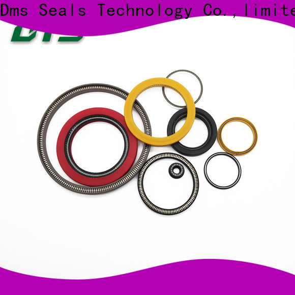 DMS Seals energized seal wholesale for choke lines