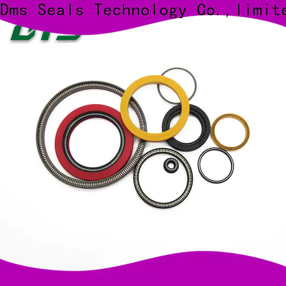 DMS Seals energized seal wholesale for choke lines