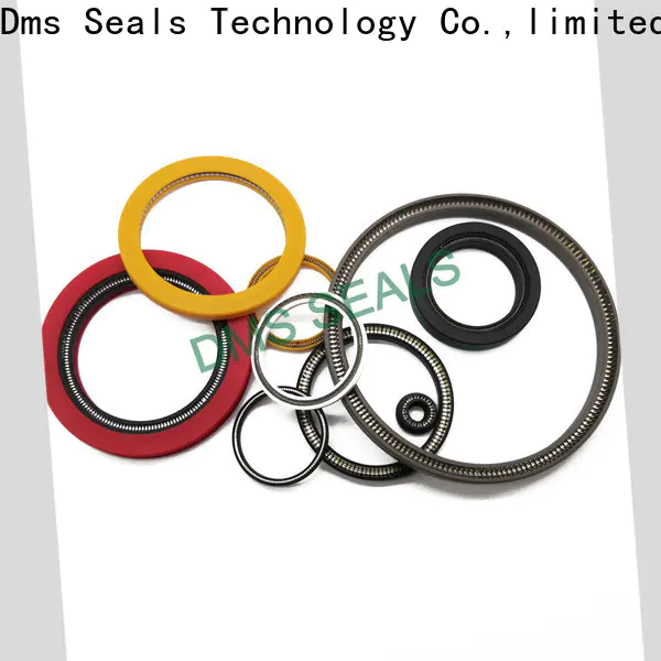 Customized energized seal price for valves