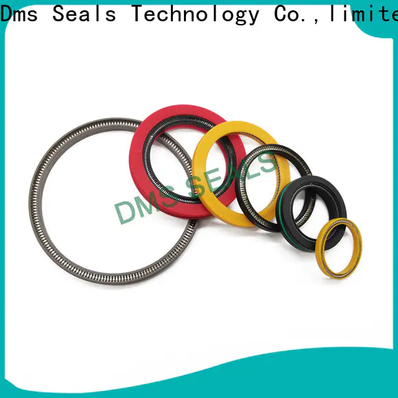 DMS Seals Latest spring energized ptfe seal cost for choke lines
