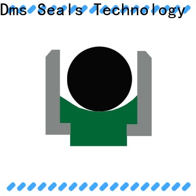 DMS Seals Top hydraulic ram seals online for pressure work and sliding high speed occasions