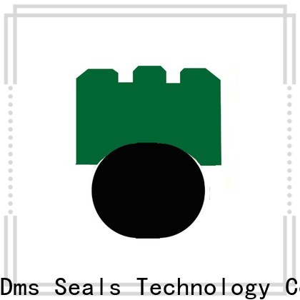 DMS Seals rotary lip seal operation for business for automotive equipment