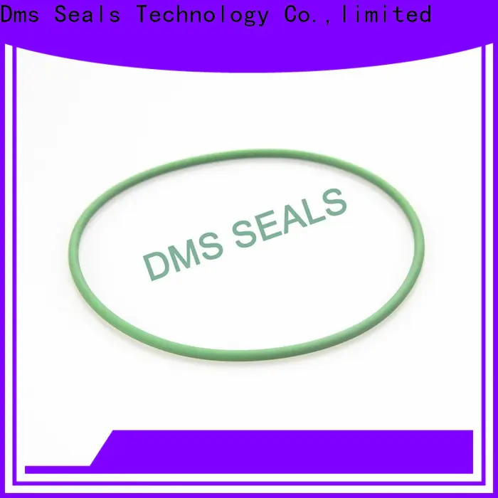 Latest oil seal ring in highly aggressive chemical processing