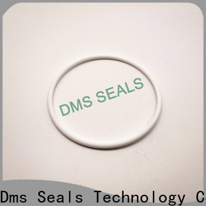 DMS Seals blue o ring material Suppliers in highly aggressive chemical processing