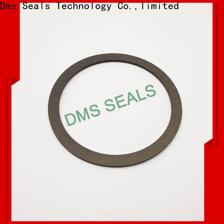 DMS Seals pi square rubber gaskets seals seals for liquefied gas