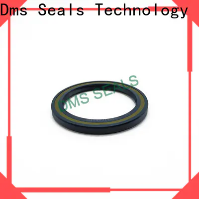DMS Seals professional seal rotary shaft with integrated spring for sale