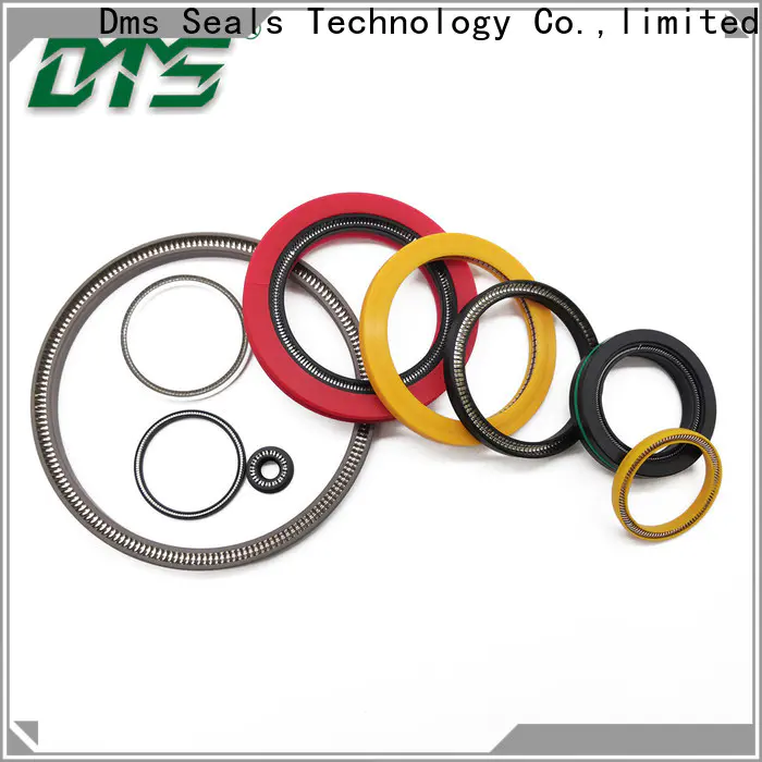 DMS Seals Customized spring energized ptfe seal price for fracturing