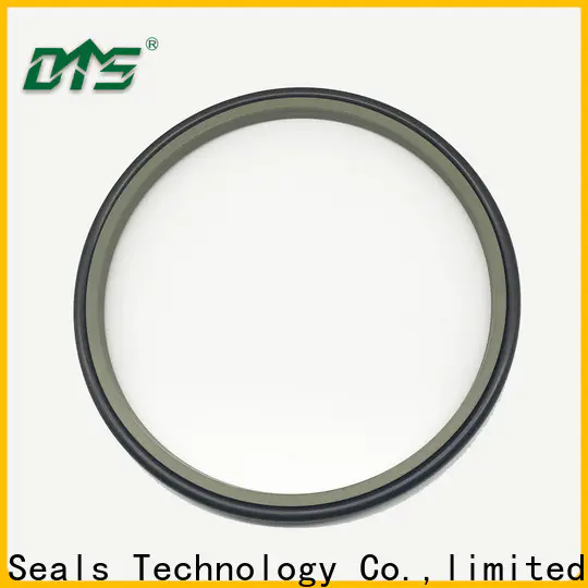DMS Seals rubber wiper seal factory for hydraulic cylinder