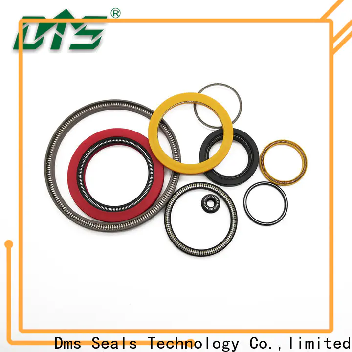 DMS Seals Customized spring energized ptfe seal wholesale for valves