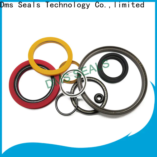 DMS Seals Best energized seal for valves