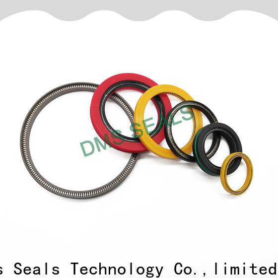 DMS Seals spring energized ptfe seal cost for choke lines
